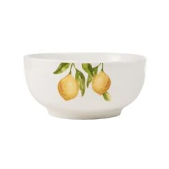 Lemons 16 Piece Dinnerware Set, Service For 4 -Famous Tableware Store 5276340 bowl onWhite