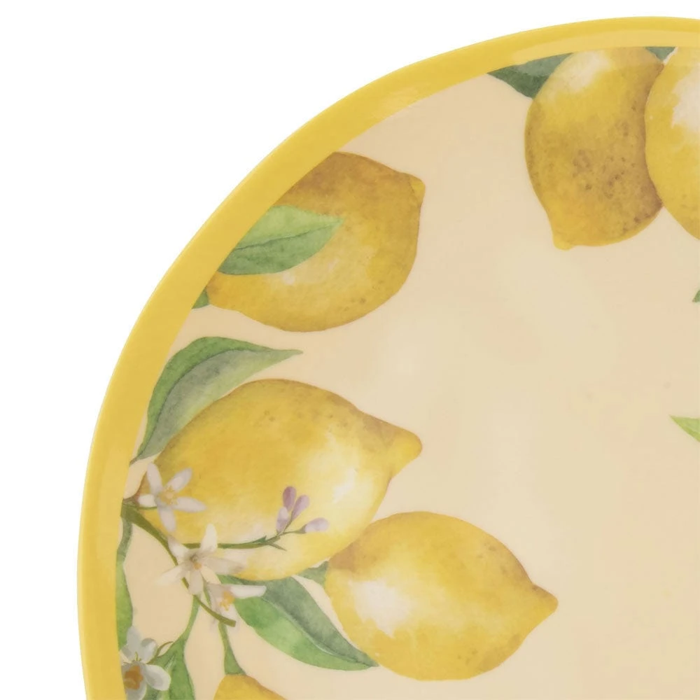 Lemons Set Of 4 Outdoor Melamine Dinner Plates 5 Lemons Set Of 4 Outdoor Melamine Dinner Plates - Image 3