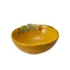 Plymouth Pumpkin Fruit Bowl -Famous Tableware Store plymouth pumpkin fruit bowl 5236063 1
